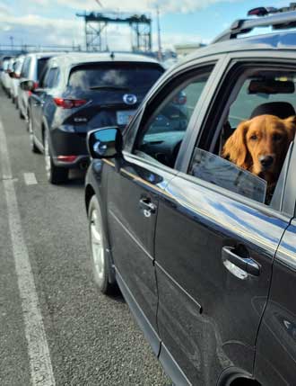 In line for the Whidbey Island Ferry