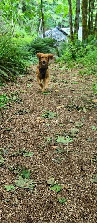 Abby in the rainforest