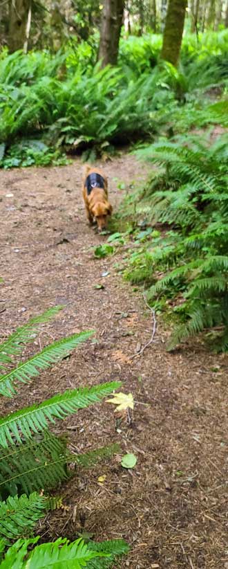 Lots of stuff to sniff