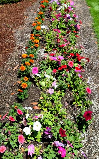 Flowers in front of the Arts building