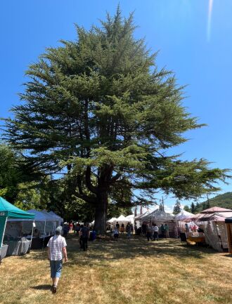 Visiting the Umpqua Arts Fair