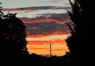 Sunset between the trees