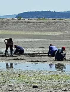 Clam digging where he season says "The Clam Season is Over".