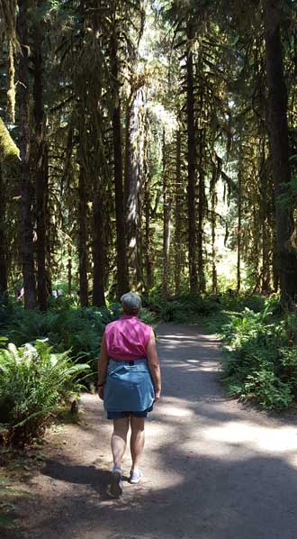 At the Hoh Rain Forest