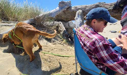 Abby sprays sand onto Gwen