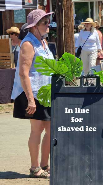 Standing in line for shaved ice