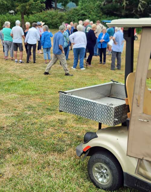 Golf cart races