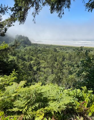 On the southwestern tip of Washington