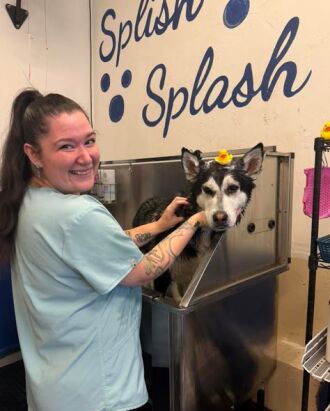 Lelani spent nearly 3 hours grooming Dave