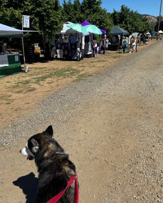 Dave and I visit the Lavender Festival