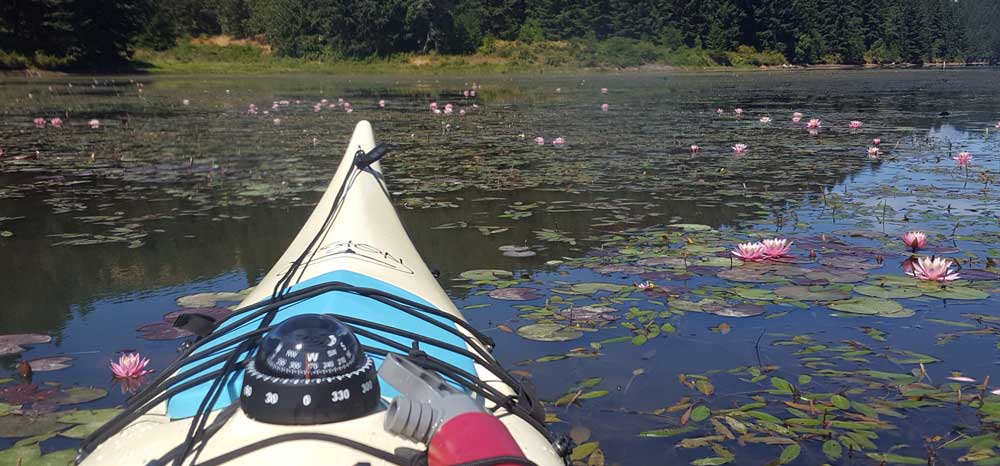 Paddling Cooper Creek Reservoir