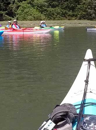 On a slow paddle thru the estuary