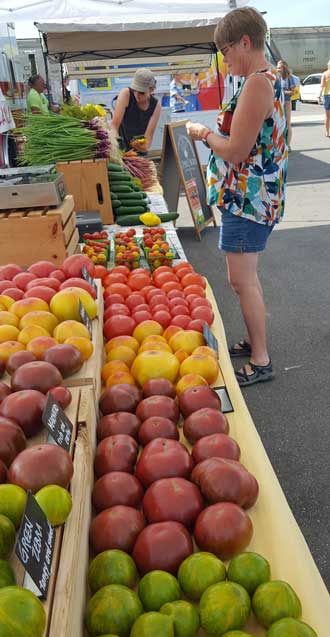 Farmer's Market in Old Town Mankato