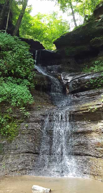 The view from the base of the creek