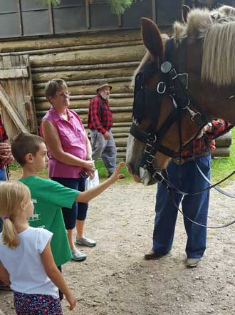 First time to touch a horse