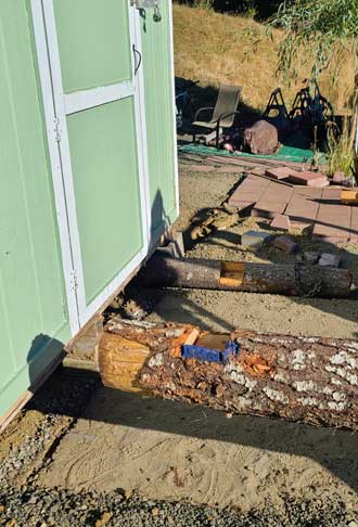 Logs go under the shed