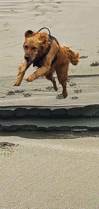 Jumping the creek