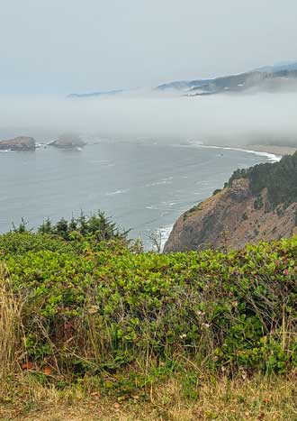 A view of Whale's Head