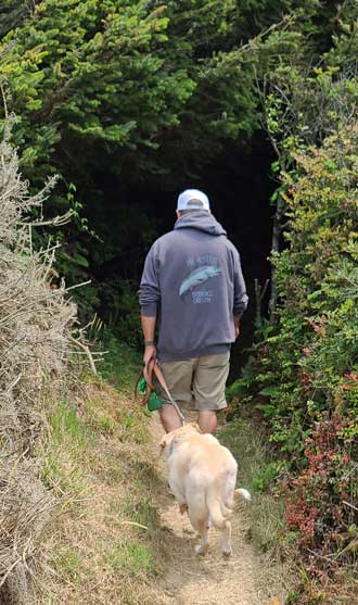 Dave hiking back into the dense coastal forest