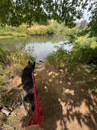 Exploring Stearns Park