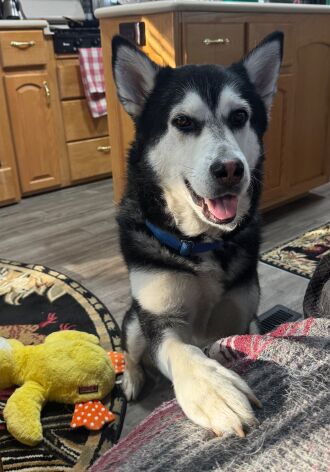 This is Dave wanting something