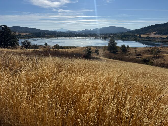 West side of Ford's Pond