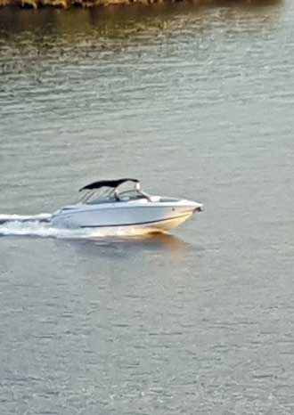 Lots of boats on the lake today