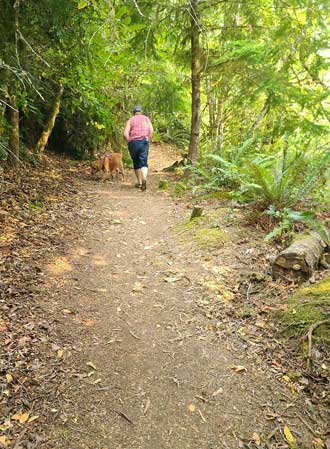 The trail back to the campground