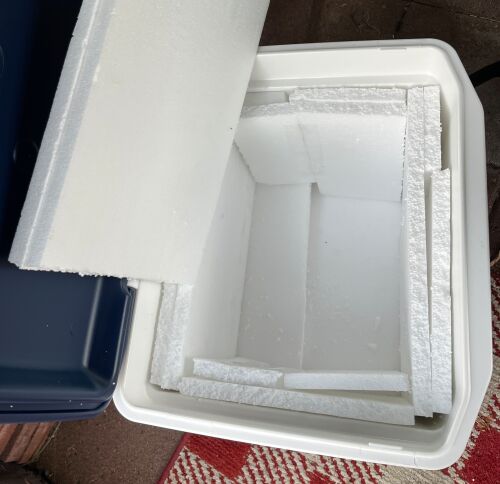Double insulate a cooler