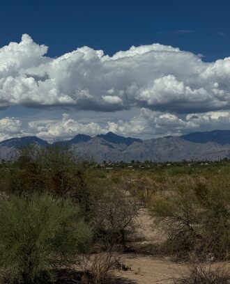 Cumulus gathering to a thunderstorm