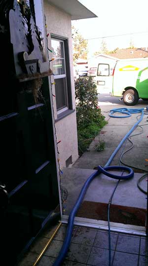 Carpet cleaning at mom's house