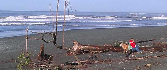 Our first sunny day on the Oregon coast