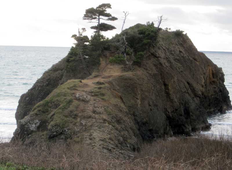 Battle Rock in Port Orford