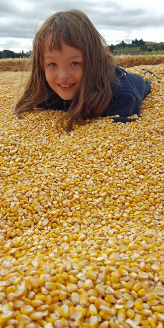 At the pumpkin patch