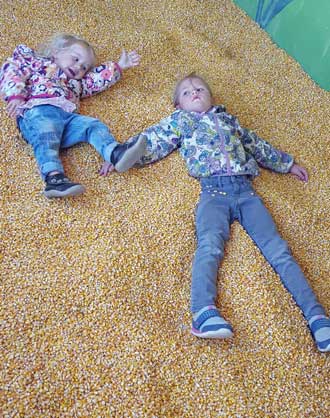 In the corn bin