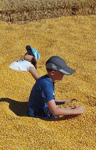 It is Pumpkin  patch time for Chloe and Noah