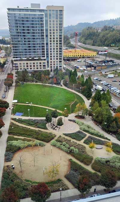 View from OHSU