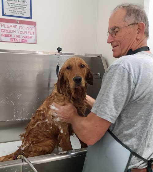 Abby gets a bath