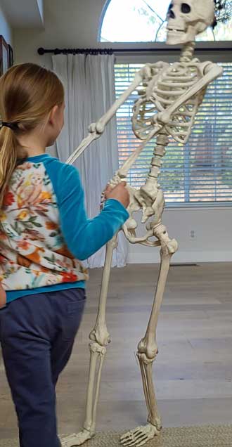 Dancing with a skeleton