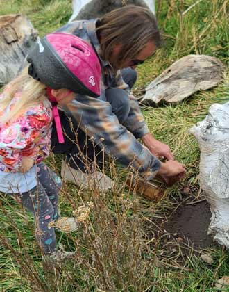 Releasing caught wild mice