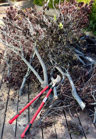 Recycling branches