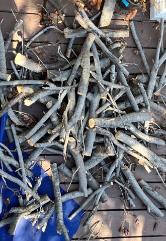 Ready for the fire pit