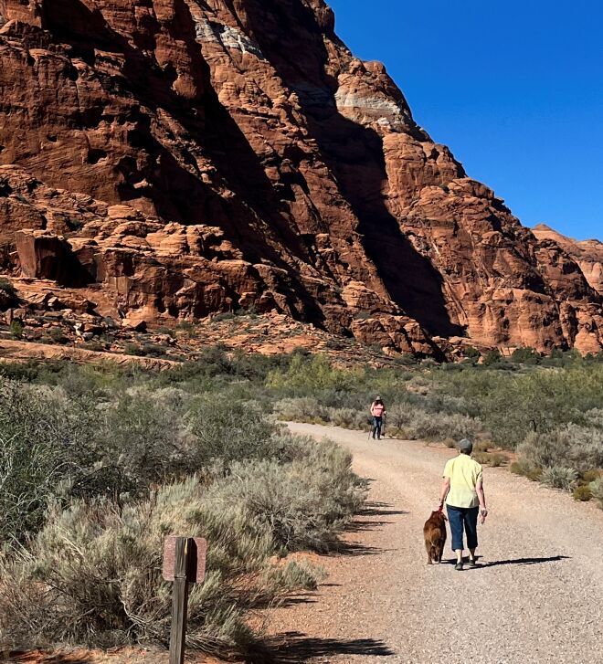 Snow Canyon State Park, St. George, Utah