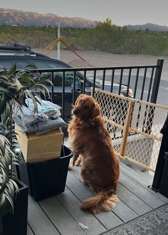 Abby is getting use to her new deck