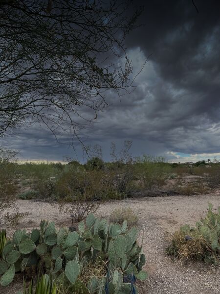 An approaching morning storm from our back yard