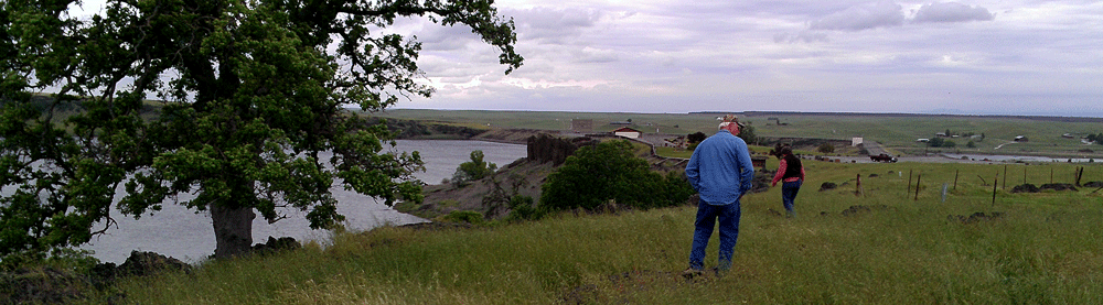 Searching for a geocache