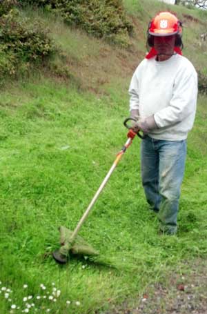 Helping out the landscape group