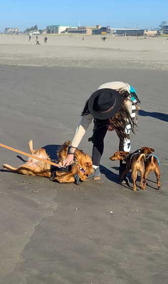 Found friends on the beach