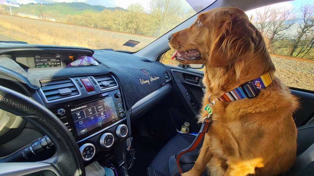 Abby as co-pilot