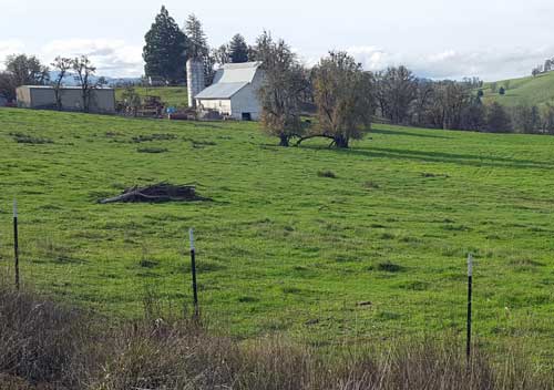 The fields have turned green again